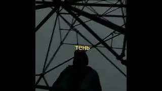 norestformonkey - тень