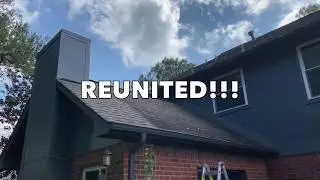 Nut-Tasha: A Squirrel Quarantine Story