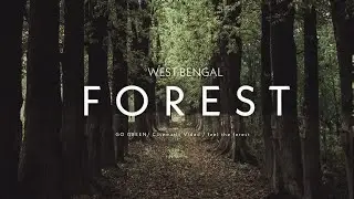 FOREST Cinematic B-Roll | epic film - In spring season | New lands West Bengal
