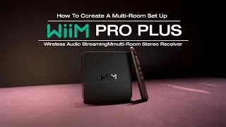 How To Set Up a Multi Room Audio Set Up With Your WIIM PRO PLUS