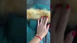 Зимний теплый детский костюм Botchkova обзор