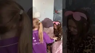 Собираю дочек в частную школу!