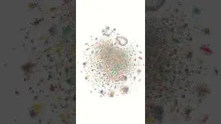 The Map of Discord is Beautiful