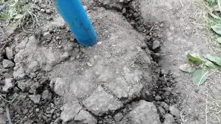 Русские качели