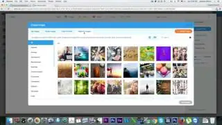 How to Add a Blog to Your Wix Website?