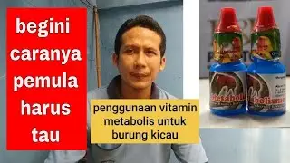 how to use metabolic vitamins for chirping mania beginners are correct and safe