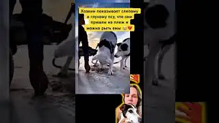 КАК ЖЕ МЫ НЕ ЦЕНИМ💔😭 
