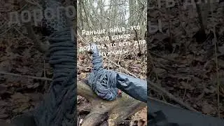 Немного про яйца 