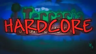 Terraria hardcore be like