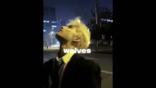 wolves - selena gomez | slowed & reverb
