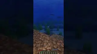 First to Respawn Themselves #minecraft #minecraftchallenge #minecrafthumor #memes #pvpchallenge
