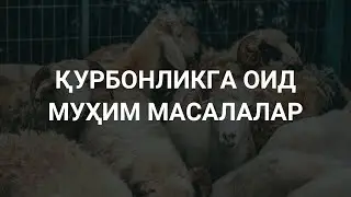Қурбонликга оид муҳим масалалар...