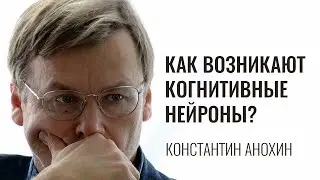 Как возникают когнитивные нейроны? Константин Анохин