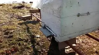 Первый мини облёт )