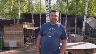 Анекдоти про вовочку! Приколы про вовочку! И 