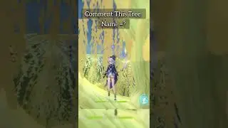 COMMENT This Tree Name =? 