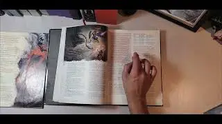 Player's Handbook D&D 2024 (DOES IT CHANGE A LOT?)