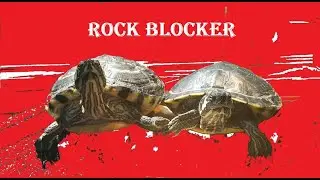 Tina the Rock Blocker