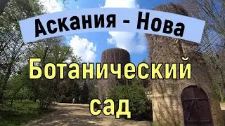Аскания - Нова. Ботанический сад. Май 2021.