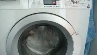 Bosch Avantixx 7 ActiveWater - Spin Only Programme.
