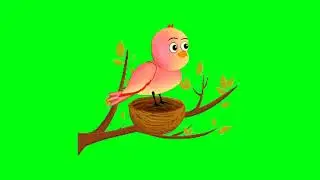 No Copyright tuni chidiya 34 bird cartoon green screen Bird Green Screen green screen cartoon