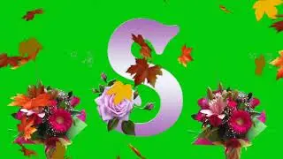S.letter green screen effects rose green screen effects rose green screen effects. Status green s