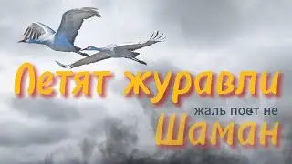 The cranes are flying. Летят журавли. Жаль, что поет не Шаман.