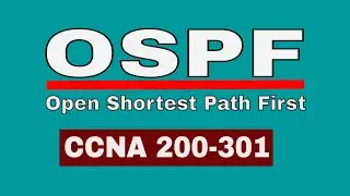 OSPF Explained || OSPF Routing Protocol tutorial || step by step || CCNA 200-301 || Network Creator