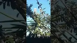 Koeberg Nuclear Power Station Public Warning System Testing in Cape Town