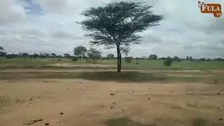 Quelque part dans la zone silvo-pastorale