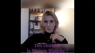 Joe Biden et ses chiens à la Maison Blanche