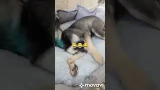 одним словом ребёнок😅😅😅