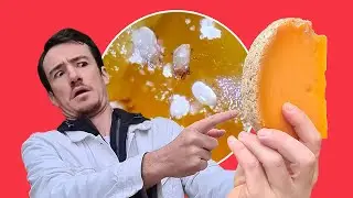 La mimolette a un secret... Un secret microscopique