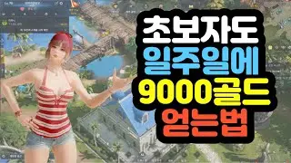 [로스트아크]뉴비절망편? 초보도 골드수급하는 꿀팁 🐝