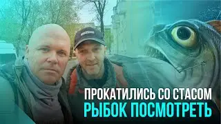 МАЙСКАЯ ПРОГУЛКА НА ЛОДОЧКЕ