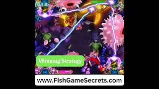 HOW TO WIN FISH GAMES BEST STRATEGY  
