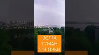 Волга, Туман, Соловьи