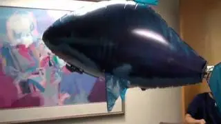 Air Swimmers Flying Shark Demo