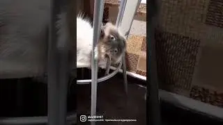 Зосе так очень удобно))