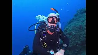 Looking for cool dive sites and lots of sealife?