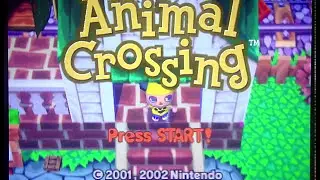Visiting an Animal Crossing (GameCube) town after being away for 13 years...