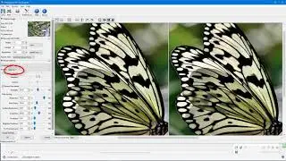 How to Enlarge Images with PhotoZoom