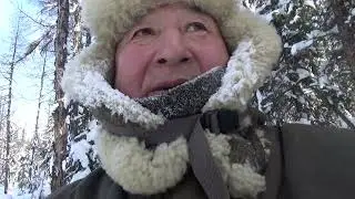 End of sable hunting, February 2024. Yakutia.