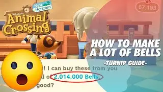 HOW TO MAKE A LOT OF BELLS IN ANIMAL CROSSING: NEW HORIZONS | TURNIP GUIDE
