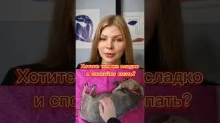 Проверенный способ уснуть #рекомендации #психология #сон