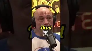 Andrew Tate GHOSTED JOE ROGAN !