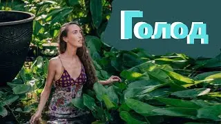 Hunger. How to heal yourself with therapeutic fasting.