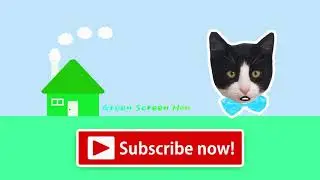 Green screen house