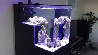 Peninsula drop-off tank -First fish!