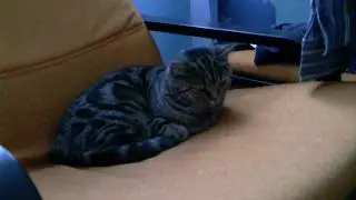 Отсветы от окна